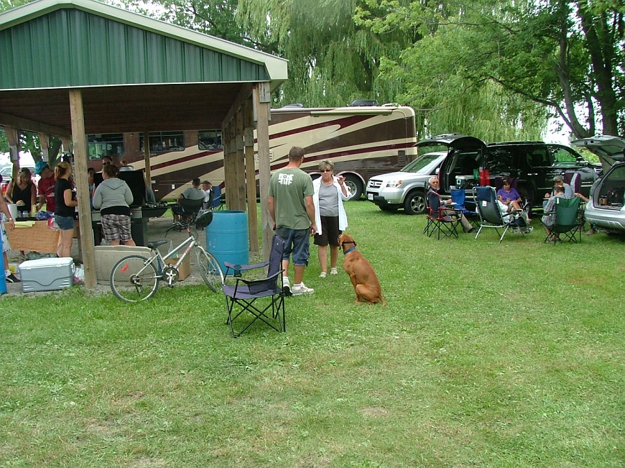 Picture 3013.jpg